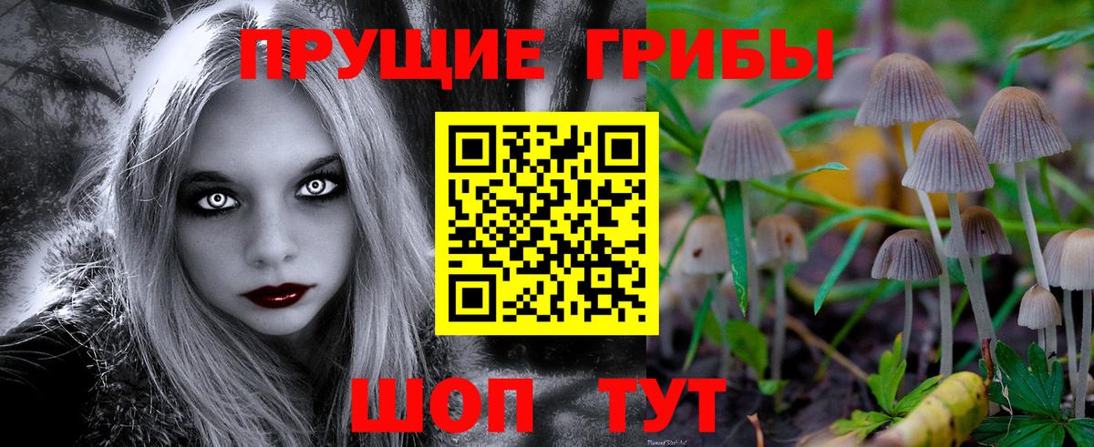 Галлюциногенные грибы Cubensis Нарткала
