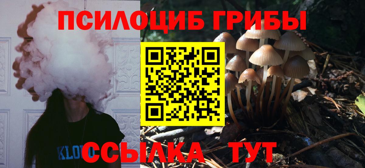 Галлюциногенные грибы MAGIC MUSHROOMS  Вход с VPN  Нарткала 
